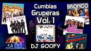 DJ GOOFY  Cumbias Gruperas Video Megamix 1 [upl. by Legnaros]