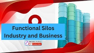 Functional Silos in Industry and Business [upl. by Eanaj72]