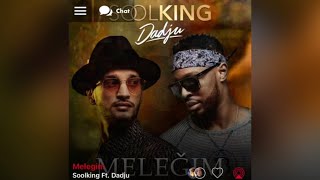 Soolking Ft Dadju  Melegim  version skyrock [upl. by Yehs]