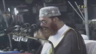 Bangla Tafseer Mahfil  Delwar Hossain Sayeedi at Chittagong 2004 Day 2 Full [upl. by Nishom]