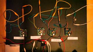 Geiger tubecircuit test [upl. by Dinesh151]