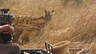 Subbiah Nalla Muthu sir Shooting of maya cubs [upl. by Phyl]