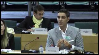 quotFATCA infringements on EU rightsquot petition hearing at the European Parliament [upl. by Patty21]