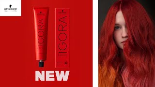 IGORA ROYAL NEW Sustainable Packaging  Eco Friendly Hair Products  Schwarzkopf Professional USA [upl. by Fraya]