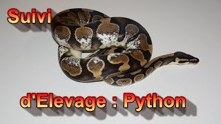 Suivi dElevage  Python [upl. by Nolita]