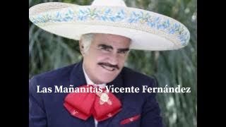 Las Mañanitas Vicente Fernández [upl. by Ardnwahsal]