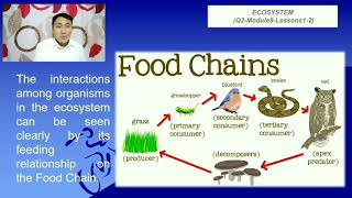 ECOSYSTEMS Interactions Among Living Things in Filipino [upl. by Joed]