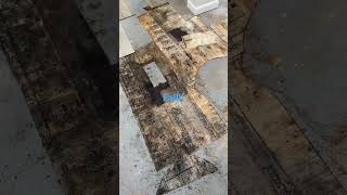 Lifeproof vinyl flooring installation fail [upl. by Siuraj]