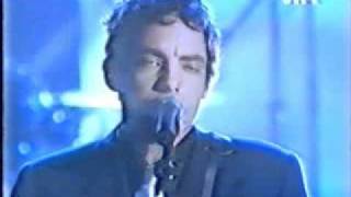 The Wallflowers  Honors 1997 [upl. by Neidhardt]