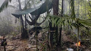 Acampamento em uma floresta Selvagem a noite o Rio inundou o camping pescamos e fizemos assado [upl. by Ennaeed]