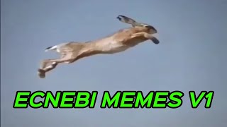 ECNEBI MEMES V1 [upl. by Pathe]