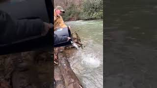 Trout stocking on Three Forks Creek [upl. by Forelli]