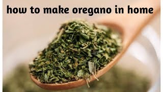 how to make oregano in home oregano homemade oregano [upl. by Siroled]