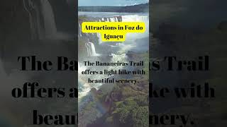 A unique tour that takes you to one of the best experiences in the Iguaçu National Park [upl. by Gerri]