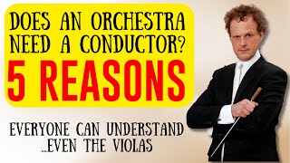 Does an orchestra need a conductor 5 REASONS everyone can understandeven the violas 🤣 [upl. by Yacov294]