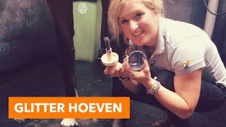 Glitter hoeven maken  PaardenpraatTV [upl. by Aihsek]