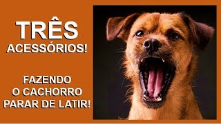 ☕ 3 ACESSÓRIOS Como Fazer o Cachorro Parar de Latir Parar de Chorar  Adestramento de Cães [upl. by Nnaylime]