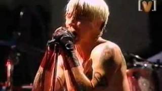 Red Hot Chili Peppers  Soul To Squeeze Live in Sidney [upl. by Oileduab]