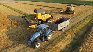 2x NEW HOLLAND CR 890 REVELATION SmartTrax  Wheat Harvest 2019 [upl. by Ahsurej]