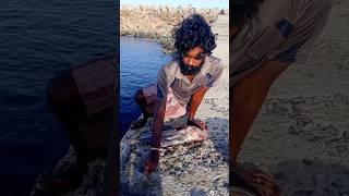 Young Man Using Big Fish to Catch Variety Fishes fishing fishingvideos thoondilulagam seafishing [upl. by Wallach]