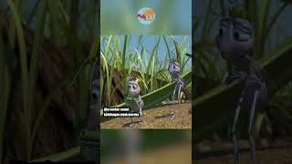 TAHUKAH KAMU DALAM FILM A BUGS LIFE 1998 shorts film movie [upl. by Treve]