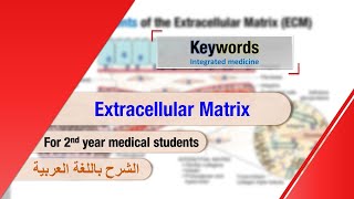 Extracellular Matrix [upl. by Nylodam]