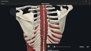 AnatomyBack deep intrinsic Back Muscles part2 التشريحالظهرعضلات الداخلية العميقة الجزء 2 [upl. by Therine]