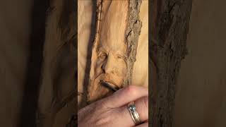 Wood Spirit carving in cottonwood bark Long form instructional video coming soon [upl. by Debi491]