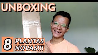 Unboxing  comprei 8 plantas Veja quais são [upl. by Anined]