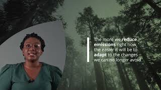 Climate Change 101  Mitigation and Adaptation [upl. by Rona]