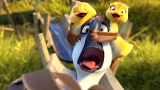 Duck Duck Goose Full Movie [upl. by Bartolemo]