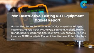 Non Destructive Testing NDT Equipment Market Report 2024 [upl. by Vidda563]