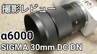 撮影レビュー ＳＩＧＭＡ30ｍｍＦ14ＤＣ ＤＮ Ｅマウント用 [upl. by Salzhauer540]