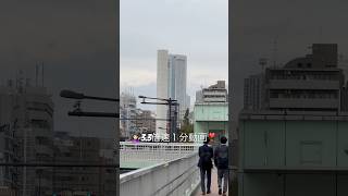 東京 渋谷区 富ヶ谷 交差点 倍速 1分動画 東京オペラシティ 小さな オアシス 代々木公園 代々木八幡 山手通り 井の頭通り shibuya tokyo japan [upl. by Fraya]