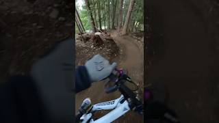 Worlds best Mountain Bike corners mountainbiking mtb whistler [upl. by Parnell]