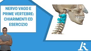 Nervo Vago compresso dalle prime vertebre cervicali storte [upl. by Seagrave]