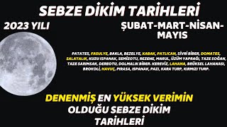 bu tarihleri kaçırmayın I ay takvimine göre en verimli sebze dikim zamanları 2023 yılı [upl. by Ynad467]