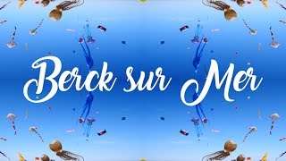 Berck sur Mer Kite Festival  RICV 2018 [upl. by Savil]