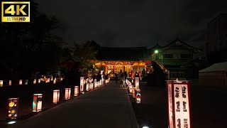 Asakusa Tokyo Night Walk [upl. by Idnahc]