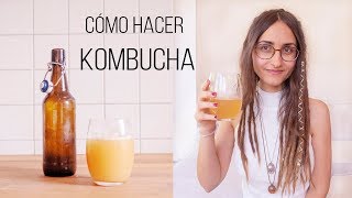 Kombucha hecho en casa [upl. by Ramar]