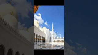 youtubeshorts shortvideo islamicvideo love [upl. by Sirrad]