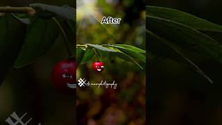 Macro photography editing picsart picsart [upl. by Petey]