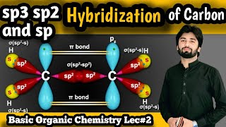 Hybridization  sp3 sp2 and sp hybridization of carbon  Hybridization of Carbon hybridization [upl. by Paolina]