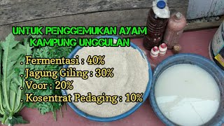 Fermentasi Air Cucian Beras Penghemat Biyaya Pakan Ayam [upl. by Otreblada]