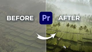 2024 Premiere Pro Color Grading Workflow [upl. by Lois]