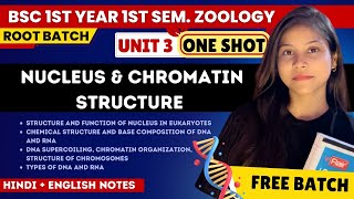 BSc 1st semester Zoology Unit 3 ONE SHOT 🔥💯 NUCLEUS amp CHROMATIN STRUCTURE by sciencewaali [upl. by Taub]