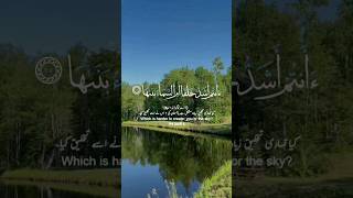 Heartwarming Quran Recitation ❤ tilawat islamicshorts quran شفا [upl. by Collete]