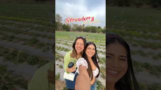 Do you like strawberries  girlsdayout strawberries ytshorts [upl. by Elyak]