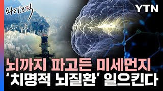 와이즈픽 미세먼지가 치명적 뇌질환 일으켜…지구 뒤덮은 조용한 살인자  YTN [upl. by Aizat]