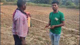 Vithal 3456harlal seeds  ka 100 Germination amp high yield🌽🌽🌽 [upl. by Areyk]